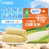 十月稻田 白糯玉米 8根 4.16斤 真空包装 东北甜粘玉米棒 低脂早餐