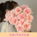 芊芊细语斗南基地直批发玫瑰鲜花全国速递配送女友礼物家用水养插花家庭 粉荔枝玫瑰18支+2支防损