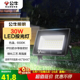 公牛（BULL）LED投光灯户外庭院工厂园林灯露营灯 IP65防水等级30W-6500K白光