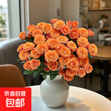AB级优质香水百合鲜花水培插花家庭生活水养鲜切玫瑰云南产地直发 橙色芭比10支
