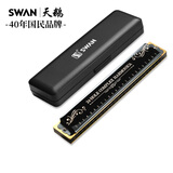 天鹅（SWAN）24孔复音口琴音位标注专业演奏教学推荐口琴C调黑色