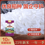 金健乐米乐 【当季新米】 茉莉香米 泰香米 长粒香米 南方大米10斤装