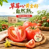 趣尝鲜陕西ok番茄（欧可Ouke）单果140g+ 净重4.5斤 1号店 源头直发