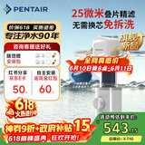 滨特尔（pentair）前置过滤器大通量家用25微米仿鳃叠片 全屋自来水管道过滤器大流量净水器排行前十名 【新品升级】L250仿鳃叠片-25μm