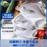 三都港 东海银鲳鱼净重450g/3条装 平鱼 深海鱼 生鲜鱼类 烧烤食材 海鲜