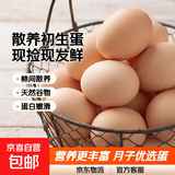 九华山鲜鸡蛋初生蛋月子鸡蛋鲜鸡蛋柴鸡蛋现捡现发40-50g±5g 60枚土鸡蛋