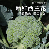 密农人家安心优选新鲜现砍西兰花400g鲜嫩可口西蓝花新鲜蔬菜花椰菜绿菜花