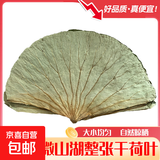 祁珠干荷叶整张荷叶叫花鸡用荷叶鸡包糯米鸡荷叶粥新鲜干荷叶粽叶 整张荷叶5张大片