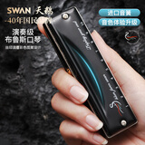 天鹅（SWAN）10孔C调布鲁斯口琴内嵌式磨砂质感盖板初学进阶蓝调口琴黑色