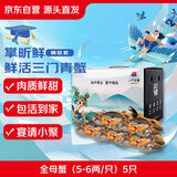 【活蟹】掌昕鲜三门青蟹 全母蟹（5-6两/只）5只 生鲜活螃蟹海鲜水产送礼品盒 源头直发