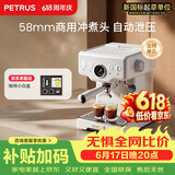 柏翠(petrus) 【保价618】咖啡机意式浓缩家用小型半自动蒸汽打奶泡PE3833海盐小方