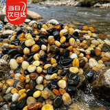 寿禾 溪流石造景装饰底砂水箱过滤养龟小石头 溪流石0.9-1.8cm2.5kg