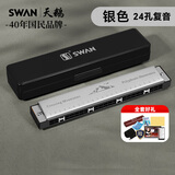 天鹅（SWAN）24孔复音口琴初学者入门学生专业演奏教学推荐口琴C调银色