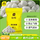 史丹利白石子水培石子天然铺面石白色鹅卵石原石庭院石头造景花盆 5斤