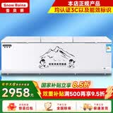 雪贝娜冰柜商用大容量全冷冻家用双温卧式冷柜展示柜 1888双机【双倍制冷一级能效】长2.56米