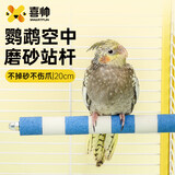 喜帅鹦鹉磨砂站杆20cm 鹦鹉玩具玄凤小太阳虎皮鹦鹉磨嘴站杆鹦鹉站架