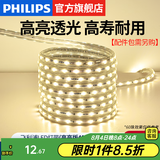 飞利浦（PHILIPS）灯带LED灯条220V家用客厅卧室吊顶线条灯软光带超亮无主灯照明 1米-60珠-暖白9W-不含配件