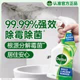 滴露（Dettol）除霉剂500ml 除霉喷雾除霉防霉杀菌除味防潮墙面洗衣机霉菌清洁剂