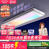 好太太（Hotata）光影电动晾衣架智能隐形超薄阳台离线语音升降晾衣杆T30Pro-ZL