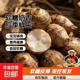 山东牛奶芋头软糯来京东蔬菜应季蔬果香芋芋头小果20g-40g 牛奶小芋头2500g