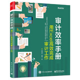 审计效率手册：用Excel高效完成审计工作(博文视点出品)