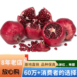 欧悟【买2颗送1颗】嫁接车厘子树苗大樱桃树苗盆栽果树苗木南北方种植 大红袍石榴树苗 6年苗当年结果