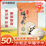太粮猫牙米长粒米50斤 丝苗米 大米25kg家庭装 批发囤货 当季新米
