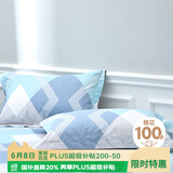 艾薇 A类全棉枕套 学生宿舍枕头套单人枕芯套 一个装 巴德尔 48*74cm