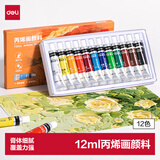 得力（deli）丙烯颜料12色套装画画丙烯画色彩写生室外墙绘diy手绘儿童成人美术绘画礼物美育工具开学礼物