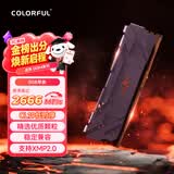七彩虹（Colorful）8GB DDR4 2666 台式机内存条 战斧系列·钛金灰 C19