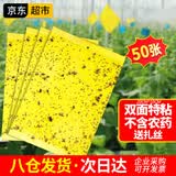 楚婕雅双面粘虫板黄板诱虫板灭苍蝇贴果蝇纸灭蚊黏虫小飞虫诱捕神器50张
