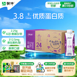 蒙牛【新鲜日期】特仑苏A2β-酪蛋白纯牛奶250ml*24盒 3.8g乳蛋白