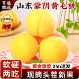 亨迅蒙阴黄桃水果新鲜黄金蜜桃黄毛桃子脆甜应季时令生鲜 5斤装丨果农精选丨净重4.6斤