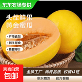 【东东农场专供】陕西阎良甜瓜新鲜应季水果头茬香瓜 阎良甜瓜1个尝鲜装大小随机(净重0.7~1.2斤)