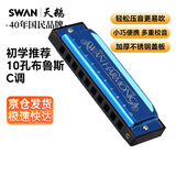 天鹅（SWAN）10孔C调布鲁斯口琴儿童成人学生教学款蓝调口琴蓝色