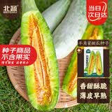 北蔬羊角蜜甜瓜种子苗早熟酥脆香甜瓜水果籽 羊角蜜甜瓜种子约200粒
