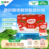 蒙牛酸酸乳营养乳味草莓味乳味饮品利乐包250ml×24包