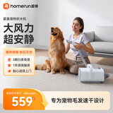 霍曼宠物吹水机 狗狗大功率电吹风机大型犬洗澡吹毛器猫咪吹毛器