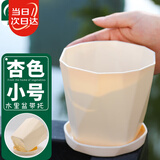 寿禾 花盆塑料加厚树脂园艺花盆绿萝多肉绿植栽种 木里盆小号-杏色