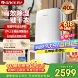 格力（GREE）【干衣除湿】除湿机家用抽湿机40升/天单间≤80㎡低噪梅雨季除潮防霉吸湿抽湿器智能控湿DH40EF