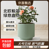 陶瓷花盆绿植盆栽亚光北欧风简约花盆大号桌面绿植盆送塑料托盘 绿色 中号（13*13*12.3）