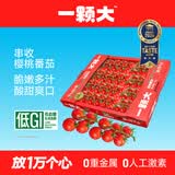 京鲜生&一颗大樱桃串番茄礼盒净重1kg*1盒 圣女果源头直发包邮