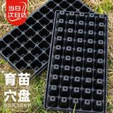 寿禾 育苗穴盘种子发芽盘扦插容器多肉育苗箱 育苗盘穴盘50孔25片