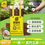 史丹利椰糠砖650g*3 椰土砖椰砖营养土脱盐花土耶砖种菜通用型