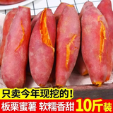 枝遥（ZHIYAO）正宗 板栗蜜薯10斤西瓜红红薯 黄心红薯现挖现发现挖新鲜蜜薯地瓜 红薯 带箱5斤大果