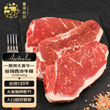 春禾秋牧 澳洲大麦牛谷饲120天原切西冷牛排600g/3片 牛肉生鲜 源头直发