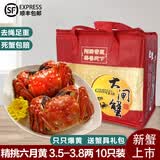 【活蟹】阳澄帝 大闸蟹鲜活  现货特大螃蟹公蟹母蟹精品礼盒装 精品六月黄3.5-3.8两 10只装