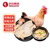 天农供港农家土鸡净重1kg山林慢养清远走地鸡整鸡 冷冻 红烧煲汤食材