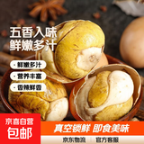 即食13天活珠子五香味香辣钢化蛋鸡胚蛋喜蛋批发原味麻辣新鲜真空 40g*20枚装 五香味