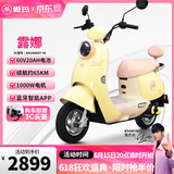 爱玛（AIMA）铅酸超长续航电动车电瓶车女士时尚成人代步外卖电动摩托车露娜 蕉蕉黄【智能互联+1000W电机】